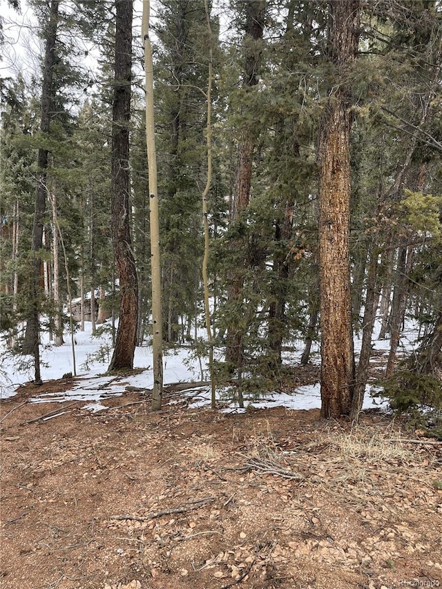 2763 N Mountain Estates Rd, Florissant, CO 80816