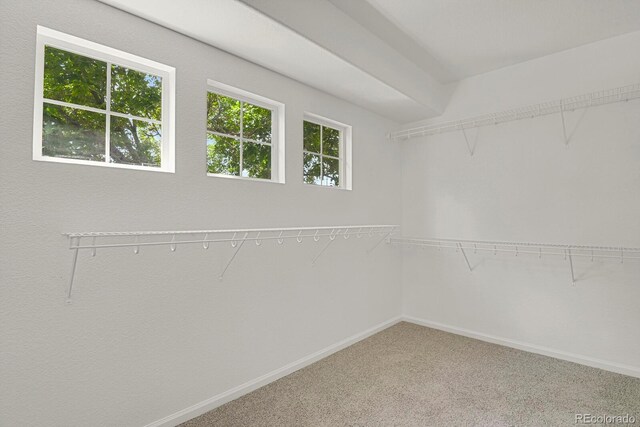 17303 E Dewberry Cir, Parker, CO 80134 - photo 33