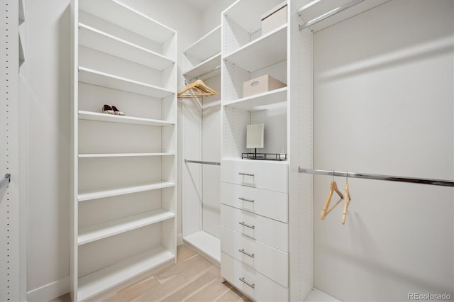 spacious closet with light hardwood / wood-style floors