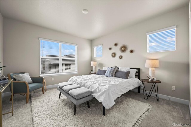 8244 S Queen St, Littleton, CO 80127 - photo 7