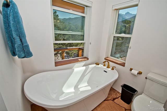 bathroom with toilet and a tub