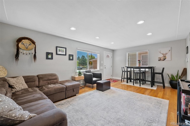 living room featuring light hardwood / wood-style floors