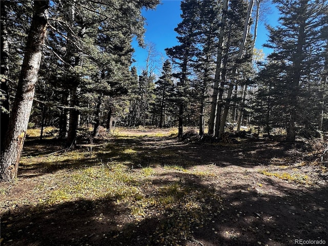 3076 Henderson Dr, Fort Garland, CO 81133 - photo 3