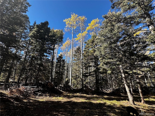 3076 Henderson Dr, Fort Garland, CO 81133 - photo 4