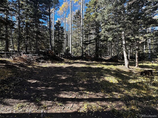 3076 Henderson Dr, Fort Garland, CO 81133 - photo 5