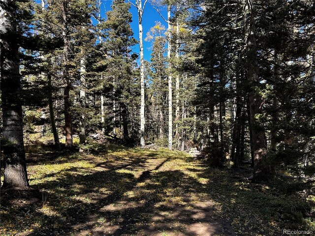 3076 Henderson Dr, Fort Garland, CO 81133 - photo 6