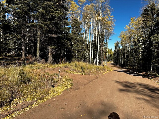 3076 Henderson Dr, Fort Garland, CO 81133 - photo 7