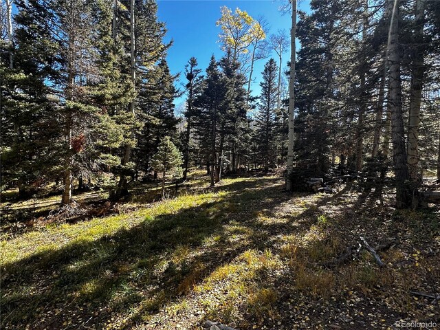 3076 Henderson Dr, Fort Garland, CO 81133 - photo 12
