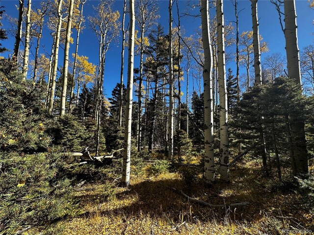3076 Henderson Dr, Fort Garland, CO 81133 - photo 16