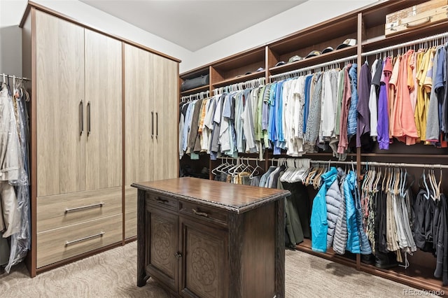 spacious closet with light colored carpet