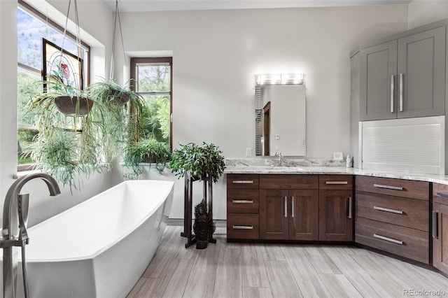 bathroom with vanity, a tub to relax in, and a wealth of natural light