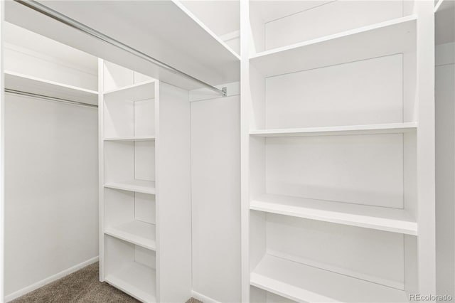 spacious closet with dark carpet