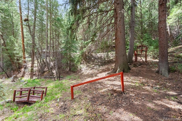 view of yard featuring a wooded view