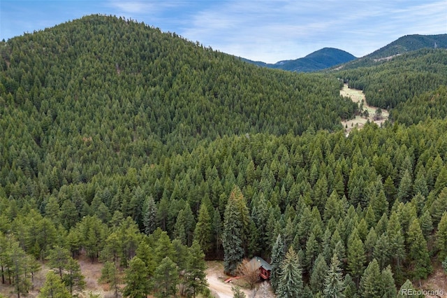 view of mountain feature with a wooded view