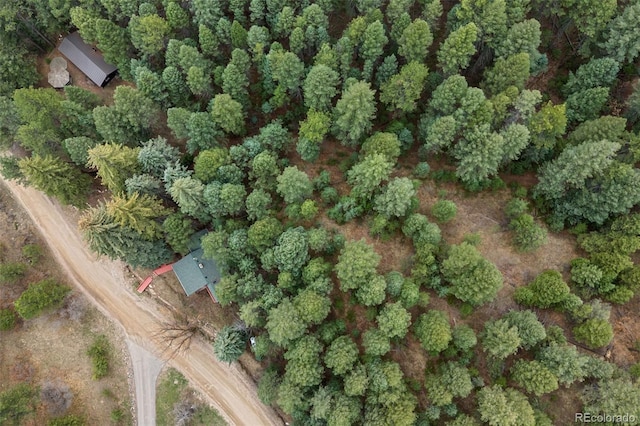 bird's eye view