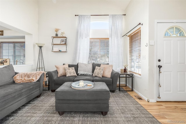 living room with hardwood / wood-style flooring and lofted ceiling