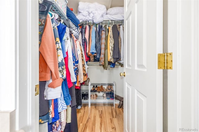 walk in closet featuring wood-type flooring