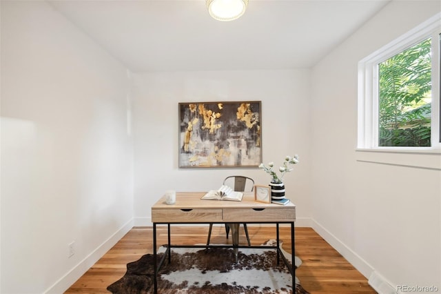 home office featuring wood-type flooring