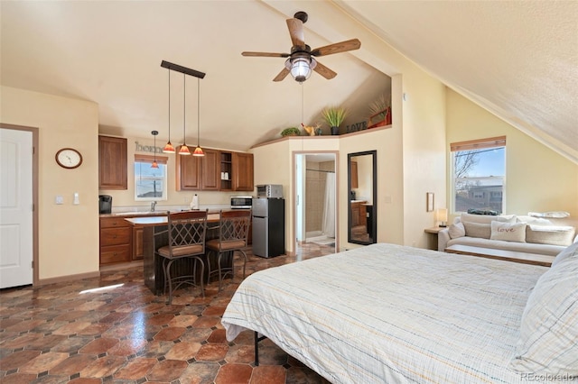 224 4th Ave, Severance, CO 80550 - bedroom with lofted ceiling, freestanding refrigerator, and dark stone finish floors