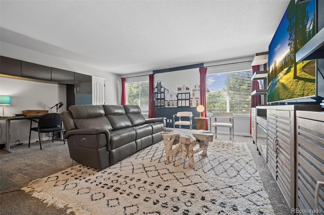2062 Hyacinth Rd, Highlands Ranch, CO 80129 - living area with carpet and baseboards