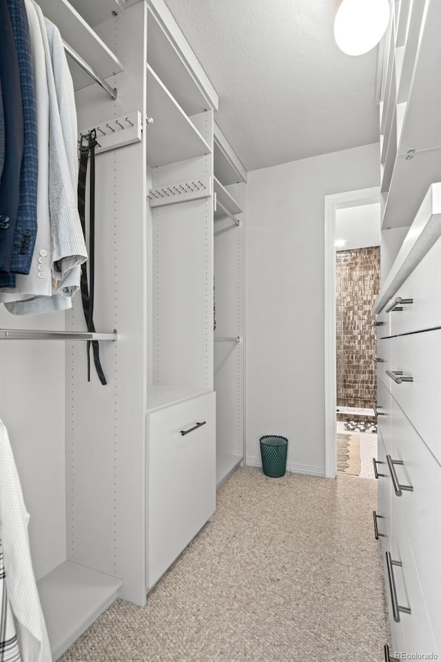 2062 Hyacinth Rd, Highlands Ranch, CO 80129 - walk in closet with light carpet