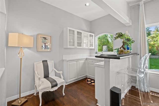 2062 Hyacinth Rd, Highlands Ranch, CO 80129 - living area featuring dark wood-style floors