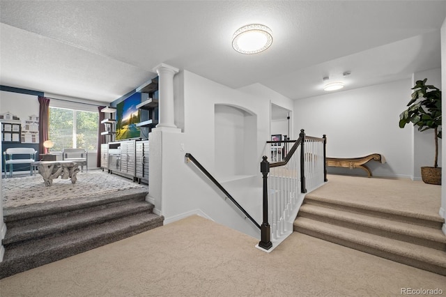 2062 Hyacinth Rd, Highlands Ranch, CO 80129 - stairway featuring carpet and a textured ceiling