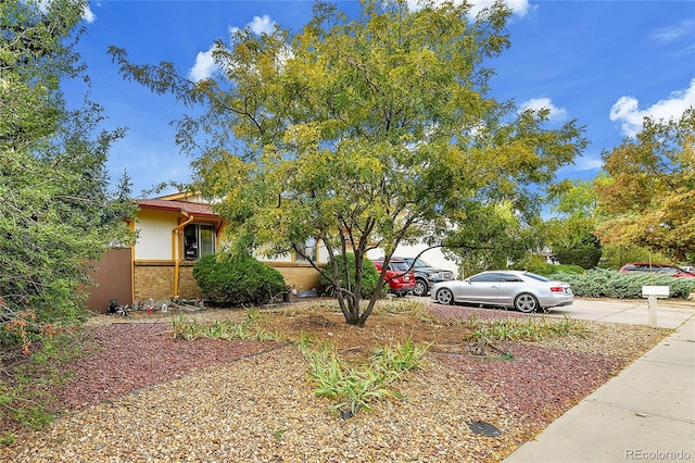 view of property hidden behind natural elements