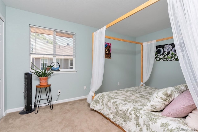 11604 Community Center Dr Unit 8, Northglenn, CO 80233 - bedroom featuring carpet and baseboards