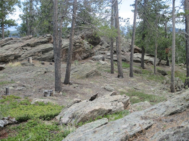 19722 Maxwell Dr, Morrison, CO 80465 - photo 24