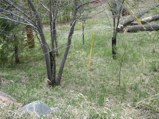 19722 Maxwell Dr, Morrison, CO 80465 - photo 25