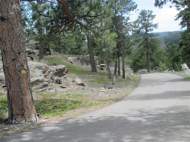 19722 Maxwell Dr, Morrison, CO 80465 - photo 26