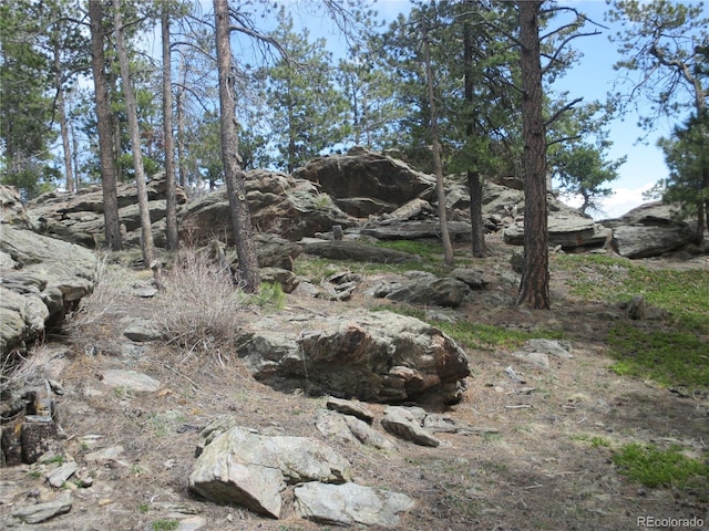 19722 Maxwell Dr, Morrison, CO 80465 - photo 29