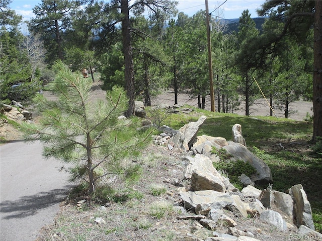 19722 Maxwell Dr, Morrison, CO 80465 - photo 32