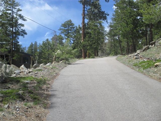 19722 Maxwell Dr, Morrison, CO 80465 - photo 33