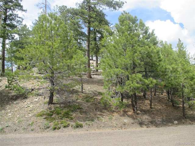 19722 Maxwell Dr, Morrison, CO 80465 - photo 35