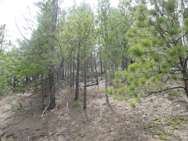 19722 Maxwell Dr, Morrison, CO 80465 - photo 36