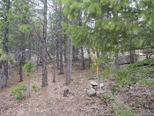 19722 Maxwell Dr, Morrison, CO 80465 - photo 37