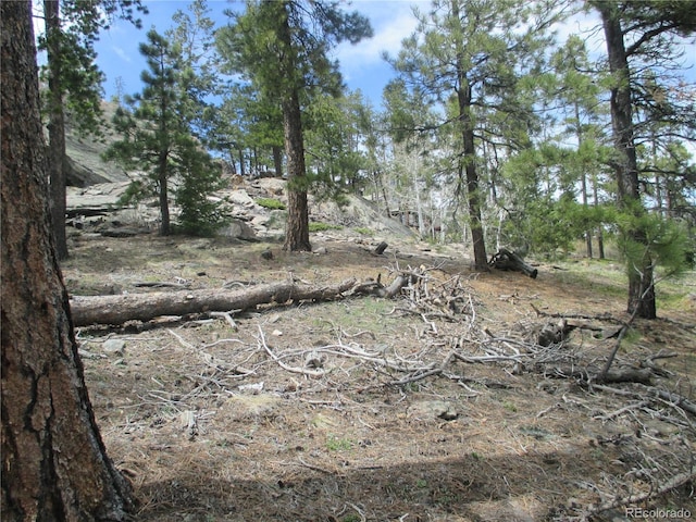 19722 Maxwell Dr, Morrison, CO 80465 - photo 3