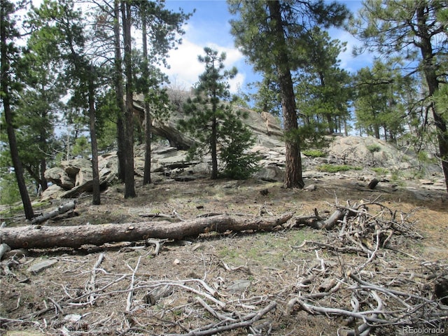 19722 Maxwell Dr, Morrison, CO 80465 - photo 4