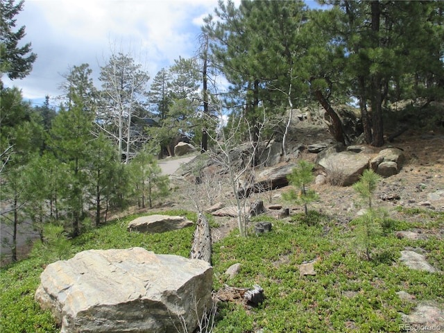 19722 Maxwell Dr, Morrison, CO 80465 - photo 8
