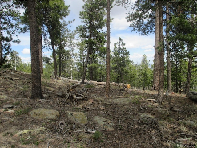 19722 Maxwell Dr, Morrison, CO 80465 - photo 10