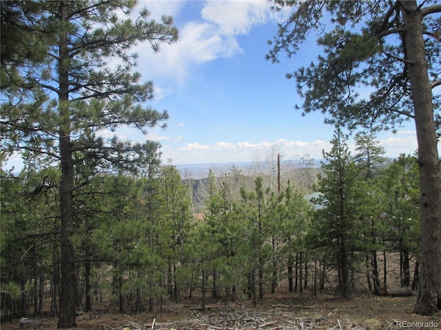 19722 Maxwell Dr, Morrison, CO 80465 - photo 11