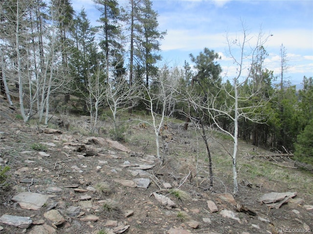 19722 Maxwell Dr, Morrison, CO 80465 - photo 13