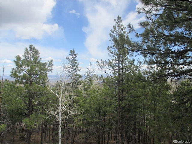 19722 Maxwell Dr, Morrison, CO 80465 - photo 15