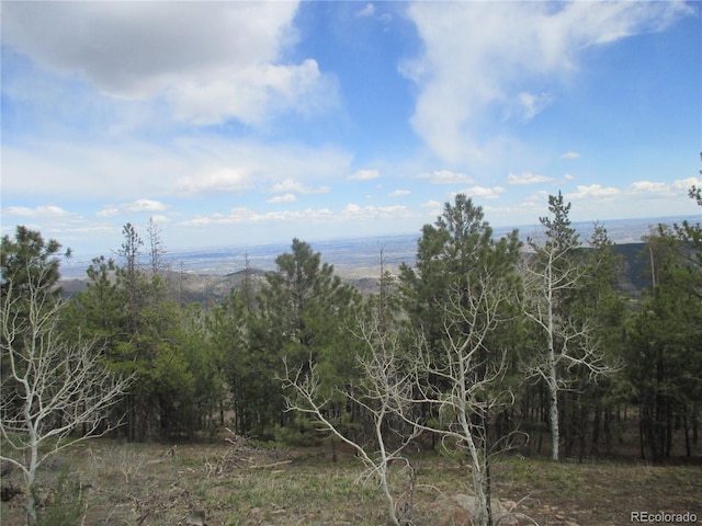 19722 Maxwell Dr, Morrison, CO 80465 - photo 16