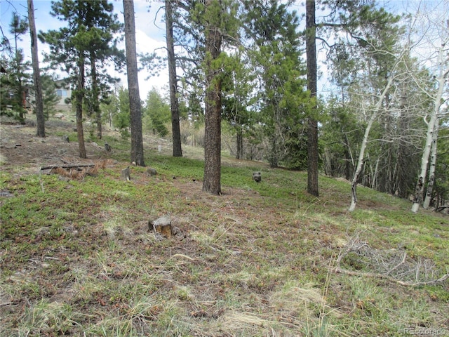 19722 Maxwell Dr, Morrison, CO 80465 - photo 17
