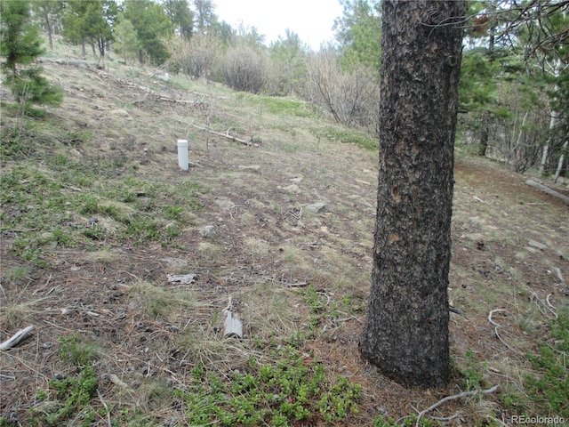 19722 Maxwell Dr, Morrison, CO 80465 - photo 18