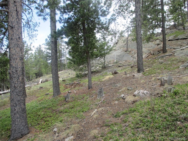 19722 Maxwell Dr, Morrison, CO 80465 - photo 19