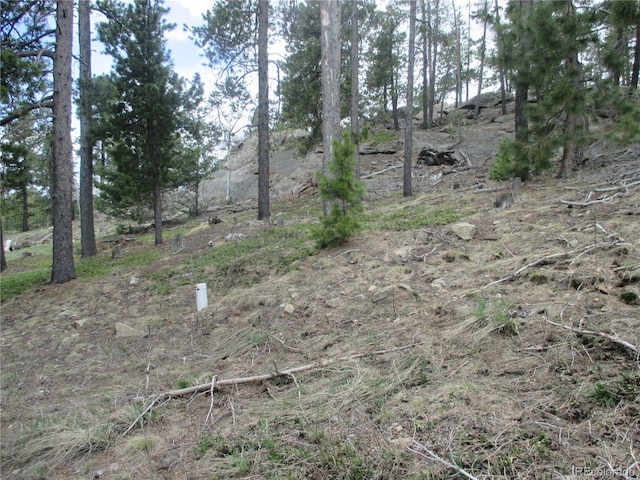 19722 Maxwell Dr, Morrison, CO 80465 - photo 20